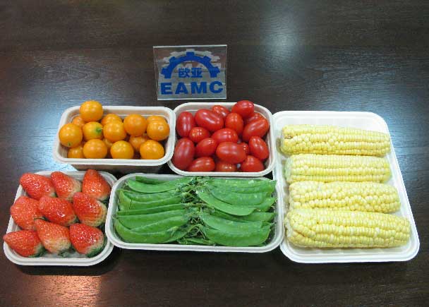 本色水果盒-纸浆模塑托盘